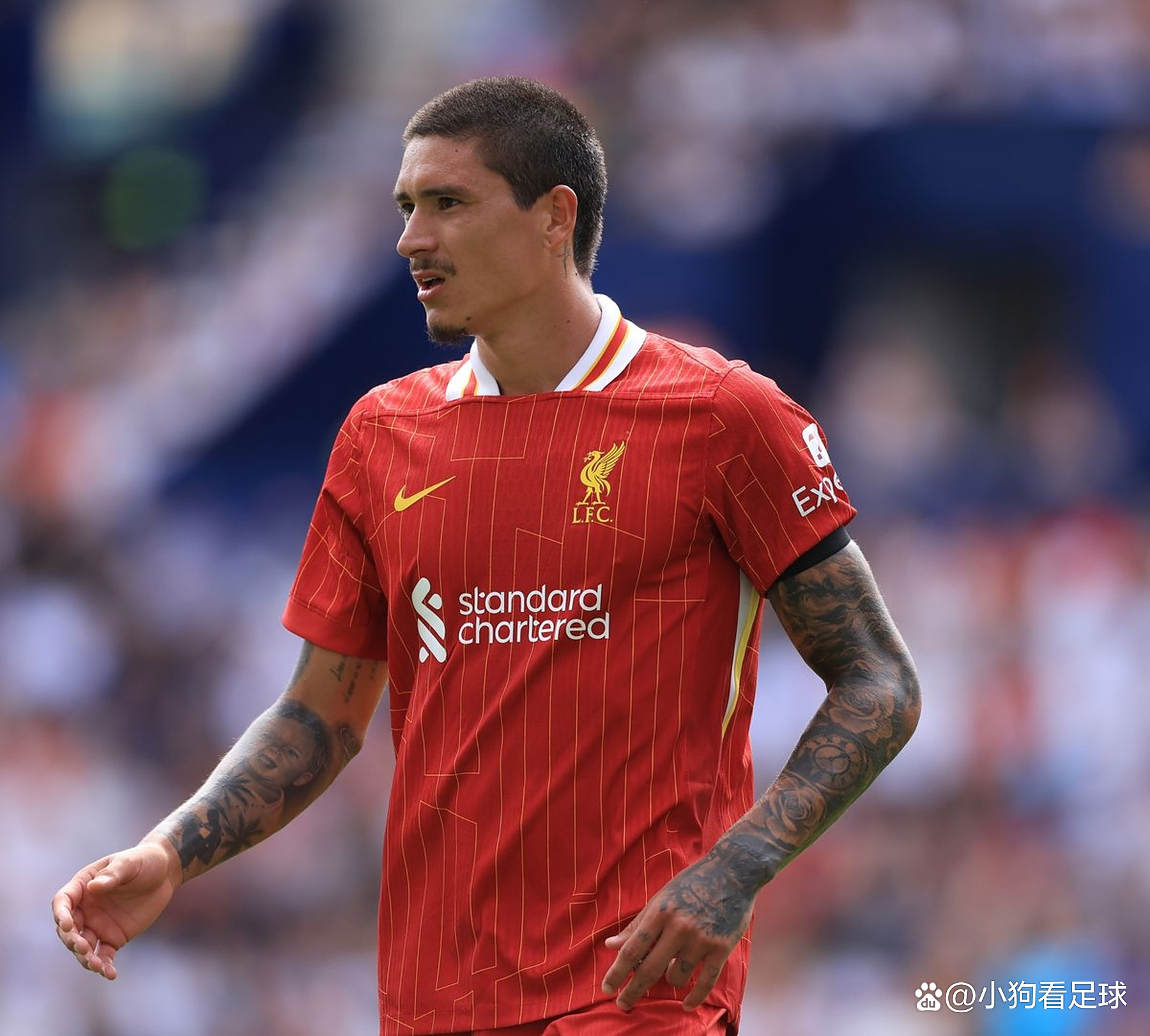 利物浦中场大将重伤,季前赛无望 利物浦中场大将重伤,季前赛无望